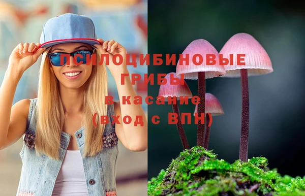 2c-b Горно-Алтайск