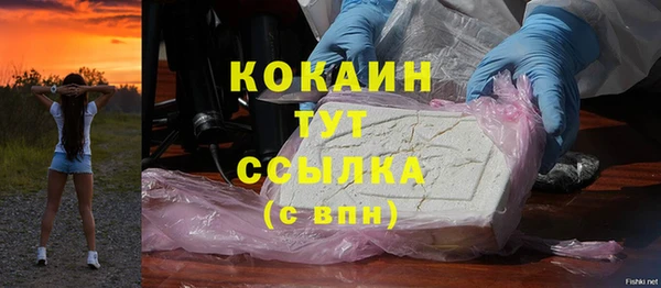 2c-b Горно-Алтайск