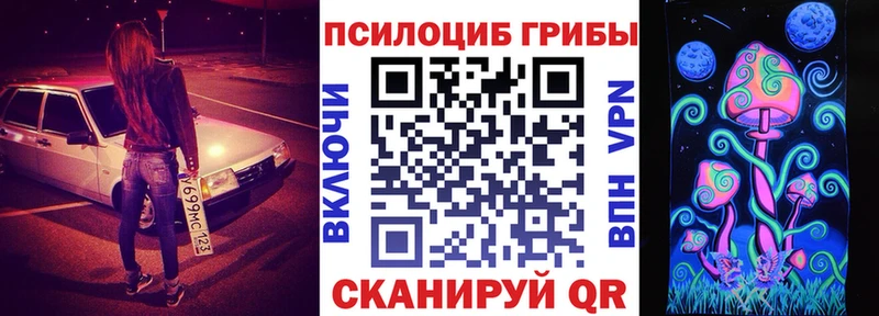 Псилоцибиновые грибы Psilocybine cubensis  Междуреченск 
