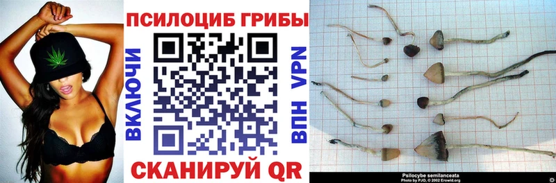 Псилоцибиновые грибы GOLDEN TEACHER Междуреченск