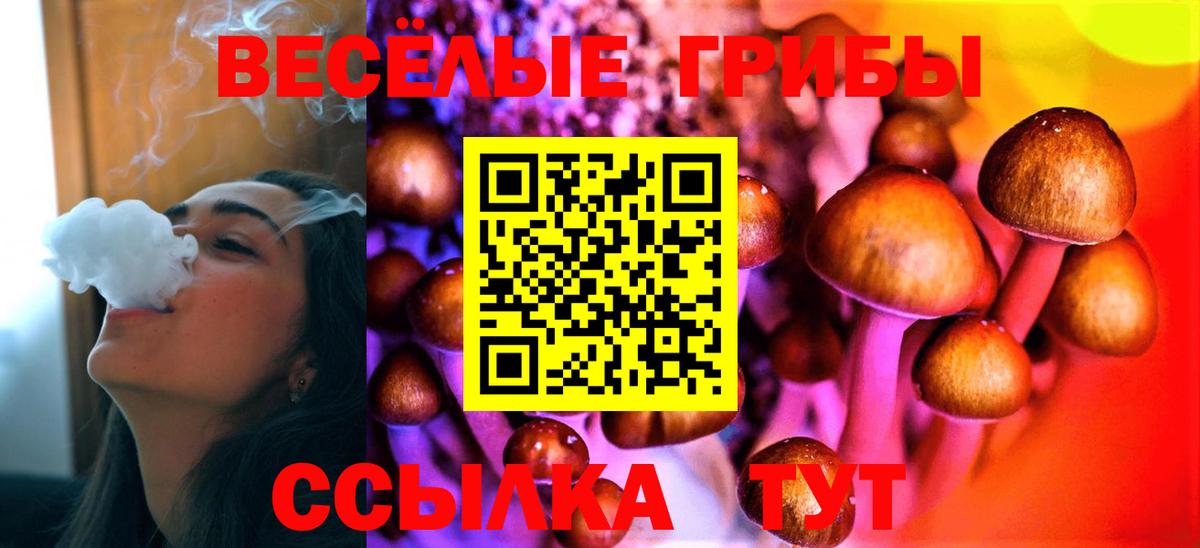 Галлюциногенные грибы GOLDEN TEACHER  Псилоцибиновые грибы Psilocybe  Междуреченск 