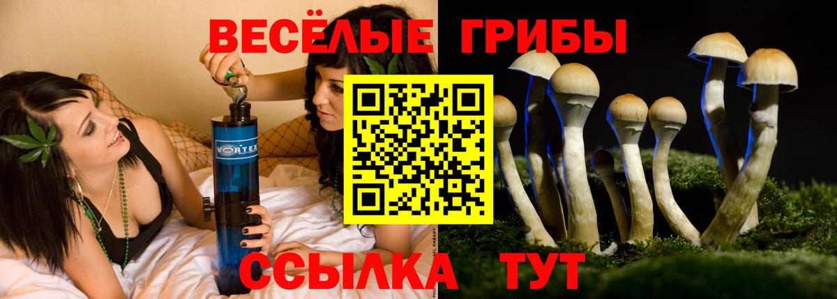 Псилоцибиновые грибы Psilocybine cubensis  Галлюциногенные грибы MAGIC MUSHROOMS  Междуреченск  Вход с VPN 