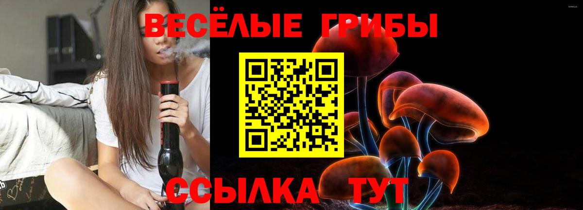 Псилоцибиновые грибы MAGIC MUSHROOMS Междуреченск